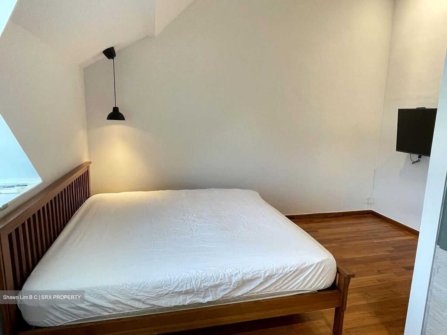 Loft @ Rangoon (D8), Apartment #520703441